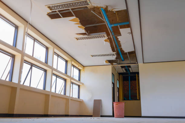 Best Basement water damage restoration  in Tangerine, FL
