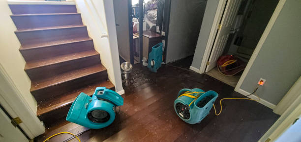 Best Water damage cleanup near me  in Tangerine, FL