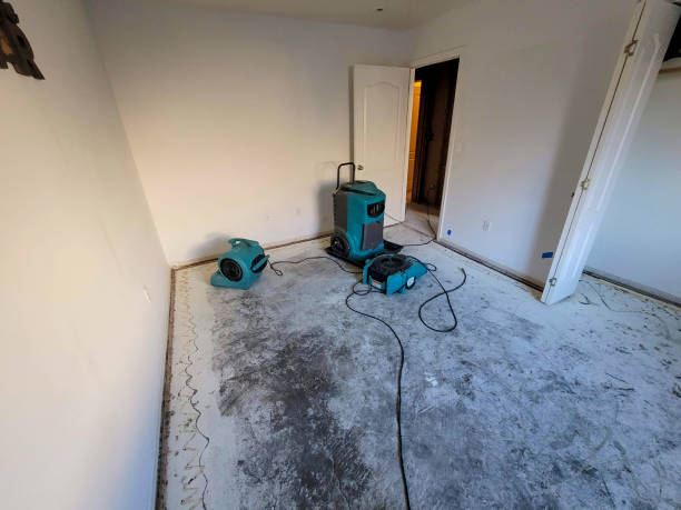 Best Water damage contractors near me  in Tangerine, FL