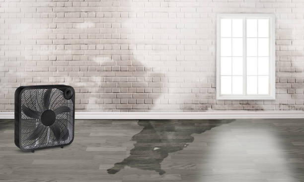 Best Fire Damage Restoration  in Tangerine, FL
