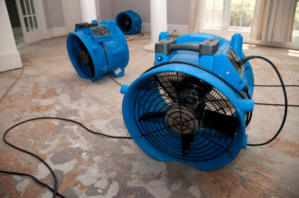Best Water damage restoration near me  in Tangerine, FL