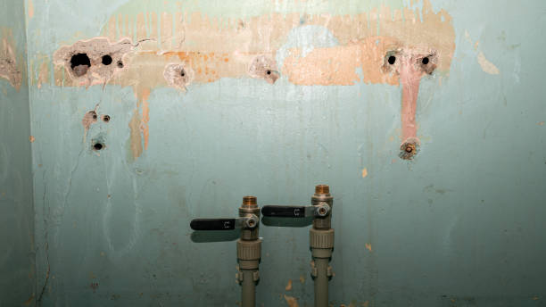 Best Carpet water damage restoration  in Tangerine, FL