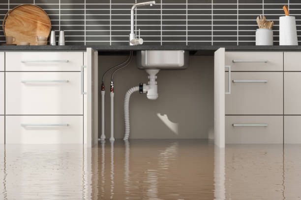 Professional Water damage restoration in Tangerine, FL