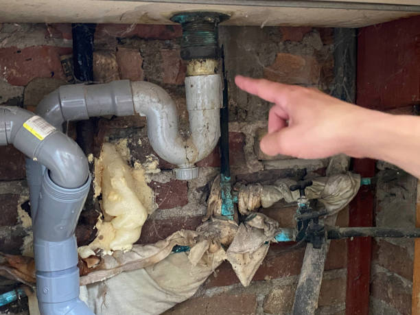 Best Flood restoration services  in Tangerine, FL