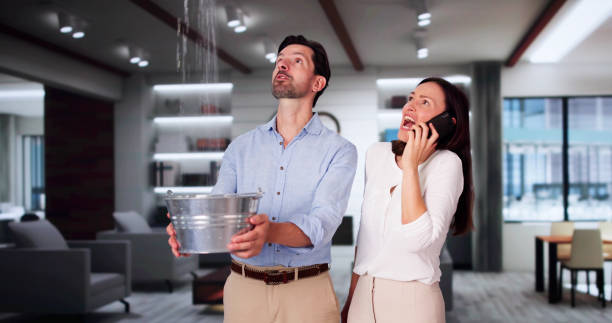 Best Local water damage restoration  in Tangerine, FL