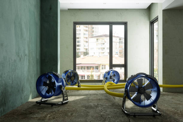 Best Carpet water damage restoration  in Tangerine, FL