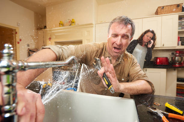 Best Local water damage restoration  in Tangerine, FL